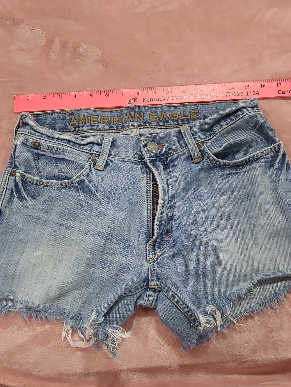 American Eagle Outfitters Light Wash Denim Cutoff Shorts